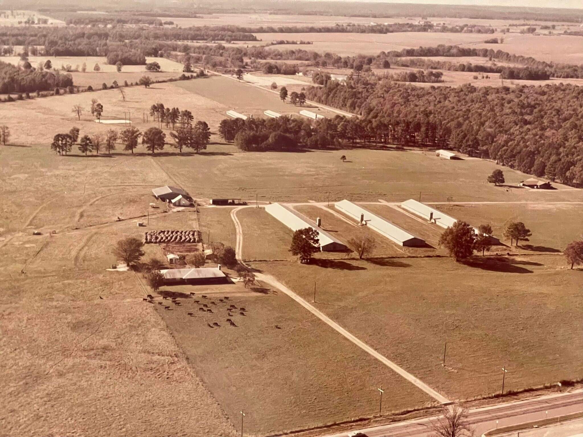 The Montgomery Family Farm in Hope, Arkansas